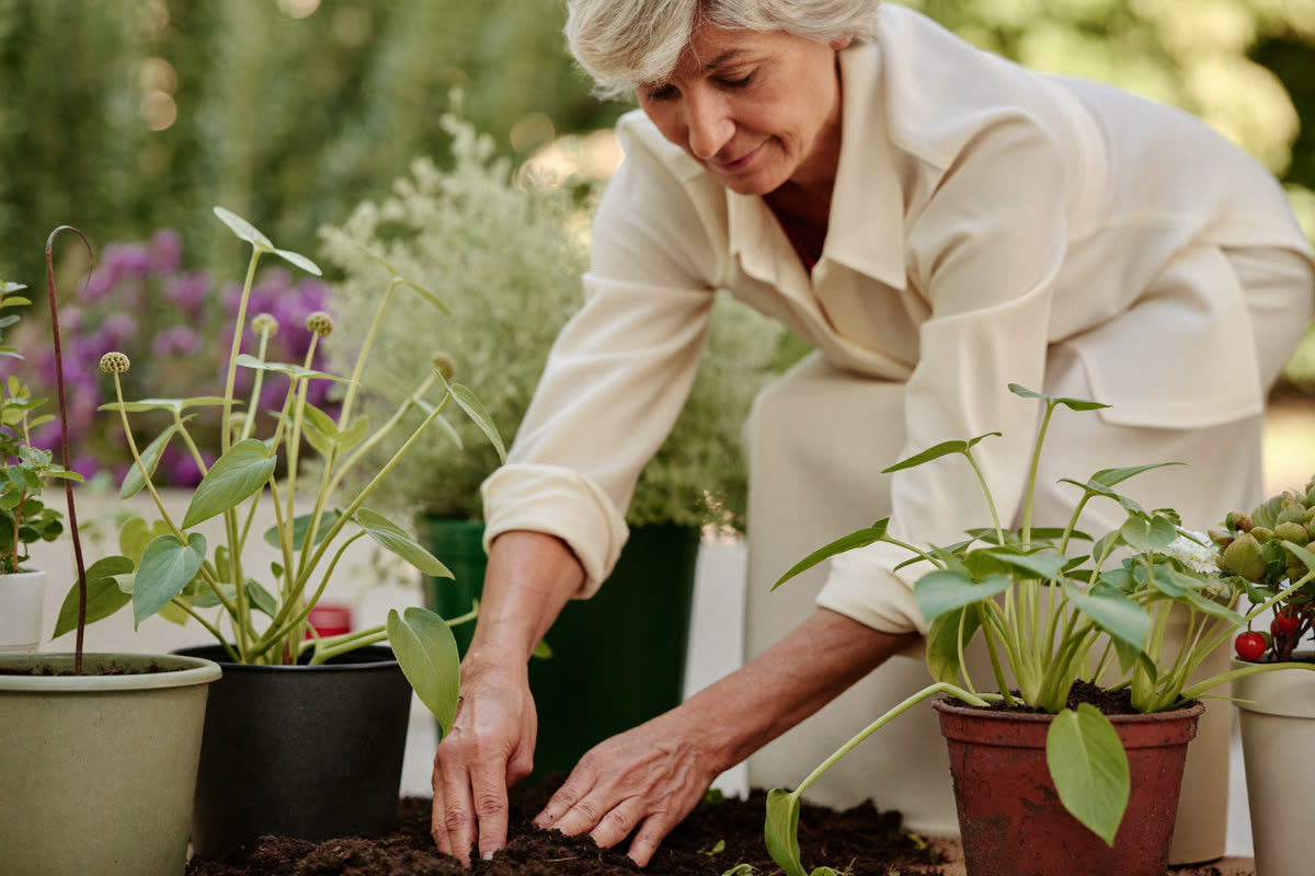 Woman in her sixties tending potted plants on a sunny patio
